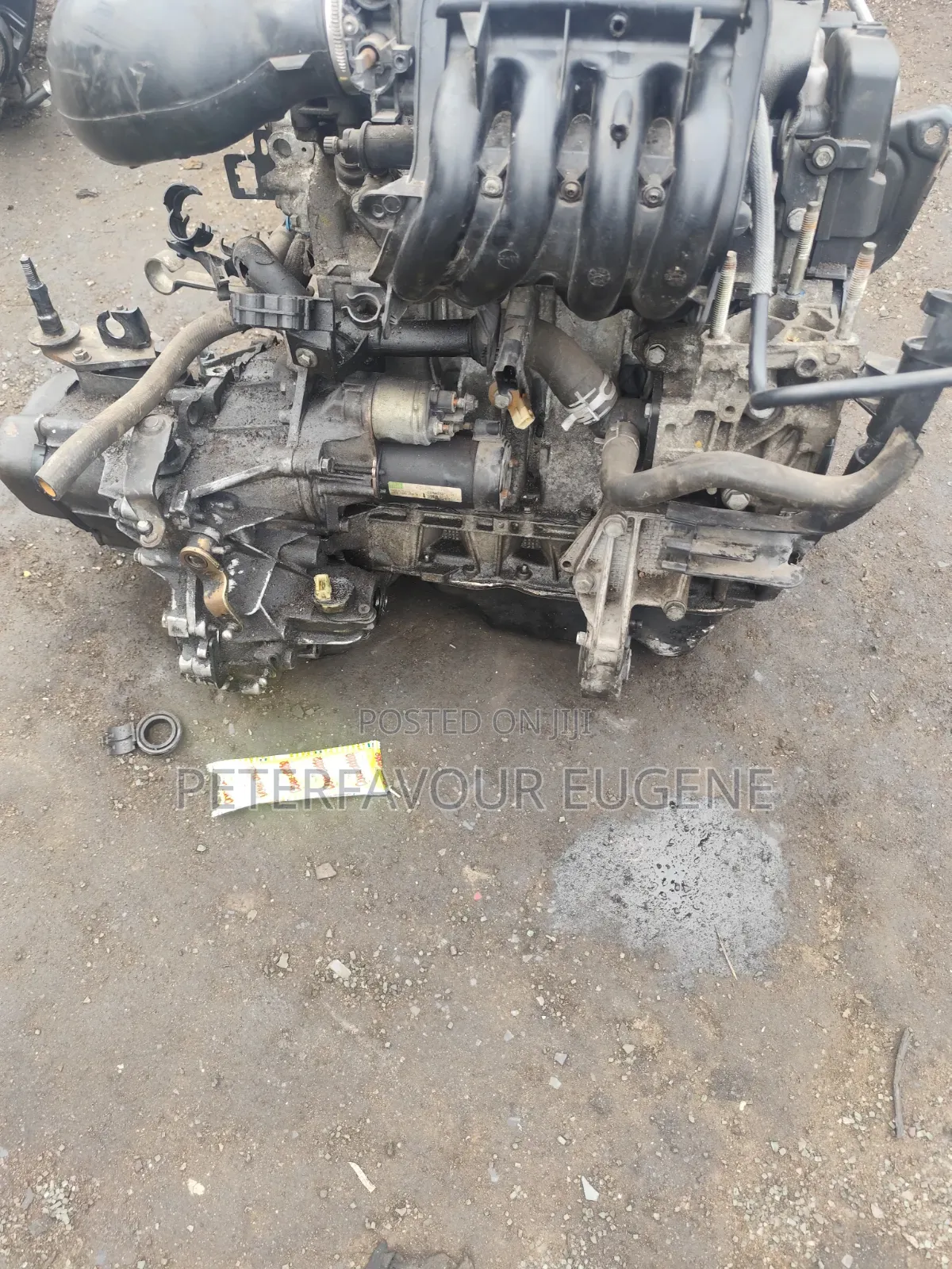 206 Turtle Cable Engine