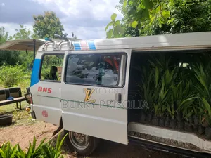 Malaysian Supergene Oil Palm Seedling
