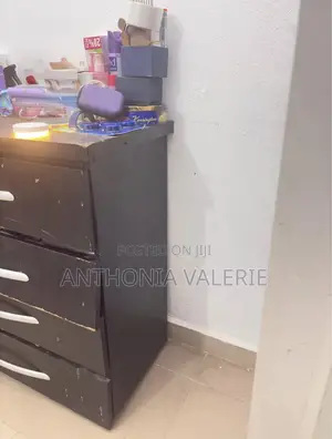 Cabinet Wardrobe