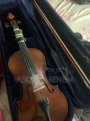 4/4 Beginner Violin