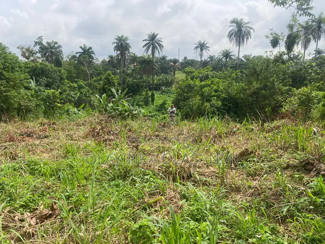 A Plot of Land With Setback