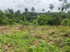 A Plot of Land With Setback