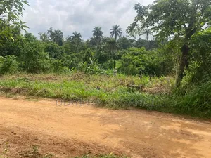 A Plot of Land With Setback