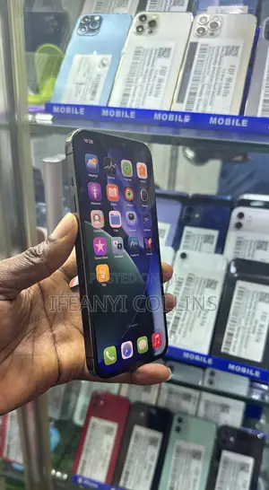 Apple iPhone 12 Pro Max 512 GB Gray
