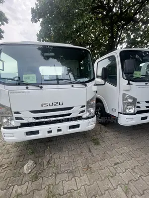 Brand New Foton Truck