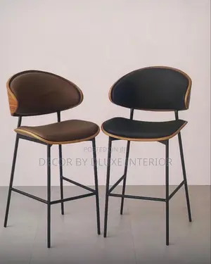 Luxury Metal High- Stool Bar Chair With Back Rest