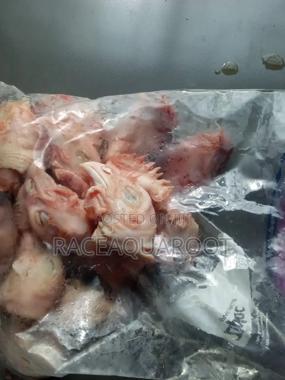 Live Chicken/Frozen