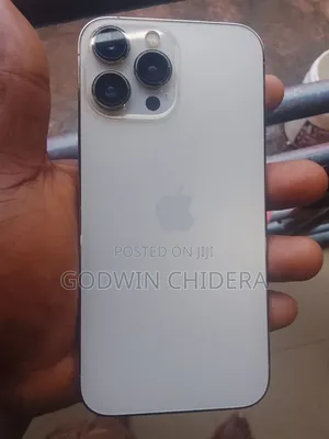 Apple iPhone 13 Pro Max 256 GB Silver