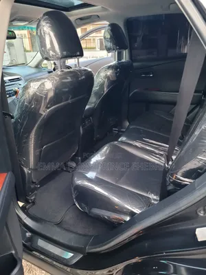 Lexus RX 2010 Black