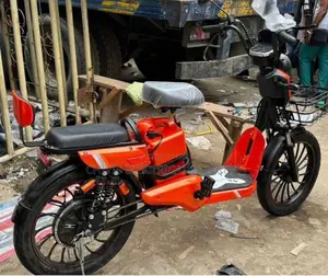 High-End Electric City Bike for Two | Modern and Stylish E-Bike