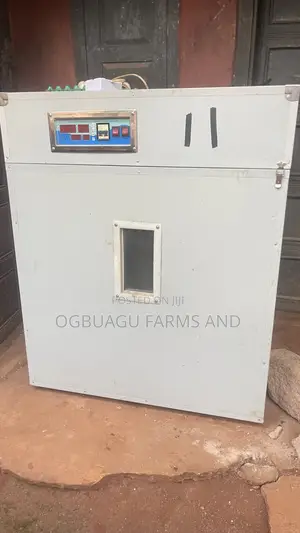 880 Eggs Capacity Incubator