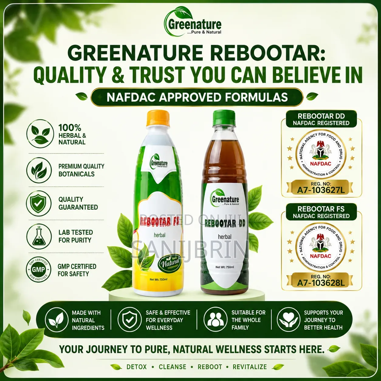 Greenature 2-in-1 Quick System Flush: Nafdac Herbal Detox Pack
