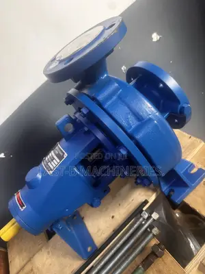 2” End Production Pump