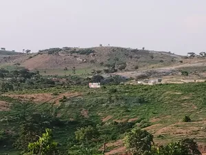 Residential Plot