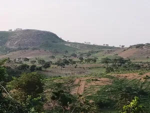 Residential Plot