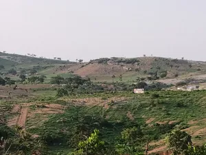 Residential Plot