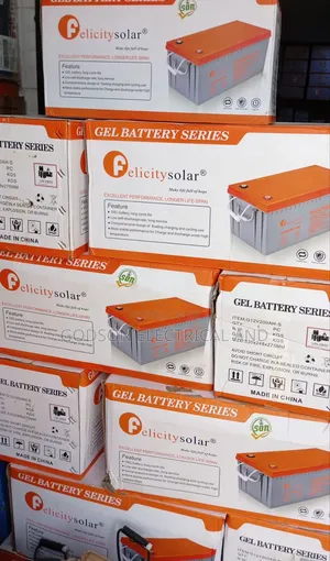 Felicity Dry Cel Battery
