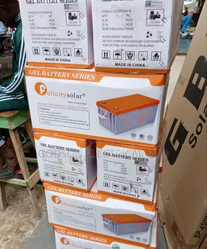 Felicity Dry Cel Battery