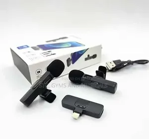 Pin Microphone