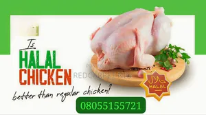 Soft Chicken