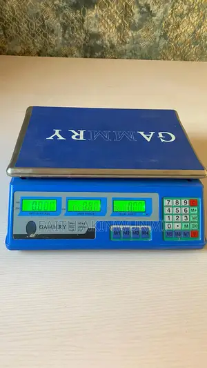Electronic Measuring Scale