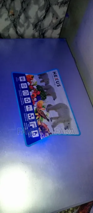 Nexus Deep Freezer Few Months Old Everything Working Perfectly Fine