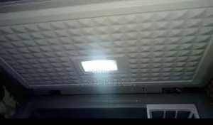 Nexus Deep Freezer Few Months Old Everything Working Perfectly Fine