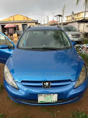 Peugeot 307 2005 Blue