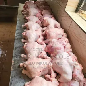 Frozen Chicken