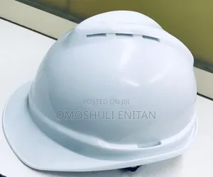 Hard Hat/Safety Helmet