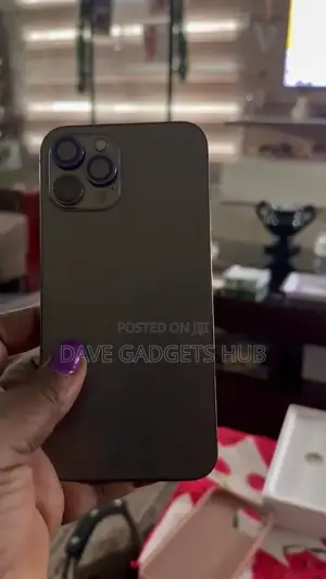 Apple iPhone 12 Pro Max 128 GB Black