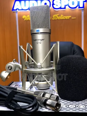 Behringer C-12 Professional Condenser Studio Microphone