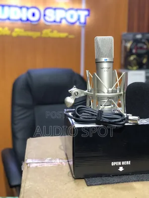 Behringer C-12 Professional Condenser Studio Microphone