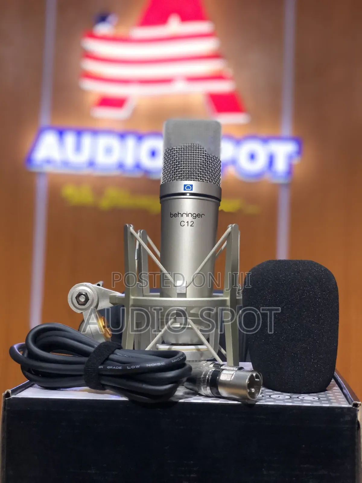 Behringer C-12 Professional Condenser Studio Microphone