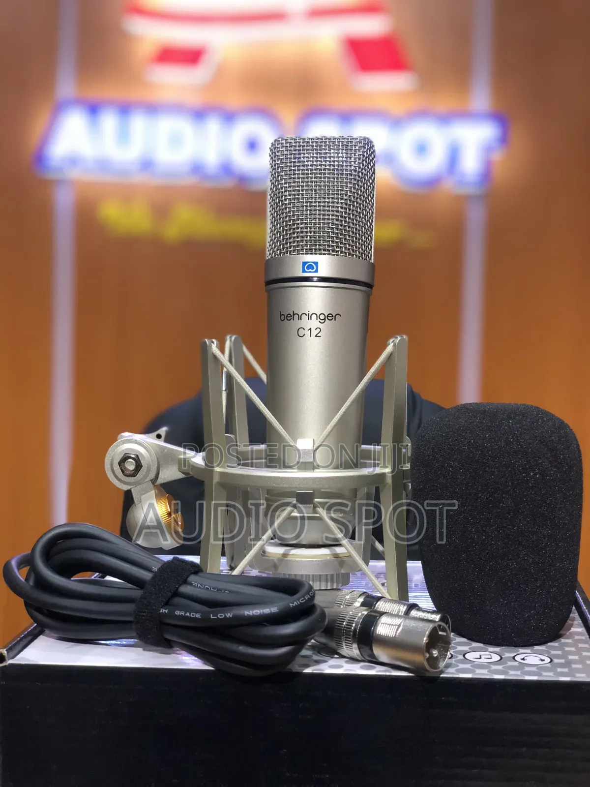 Behringer C-12 Professional Condenser Studio Microphone