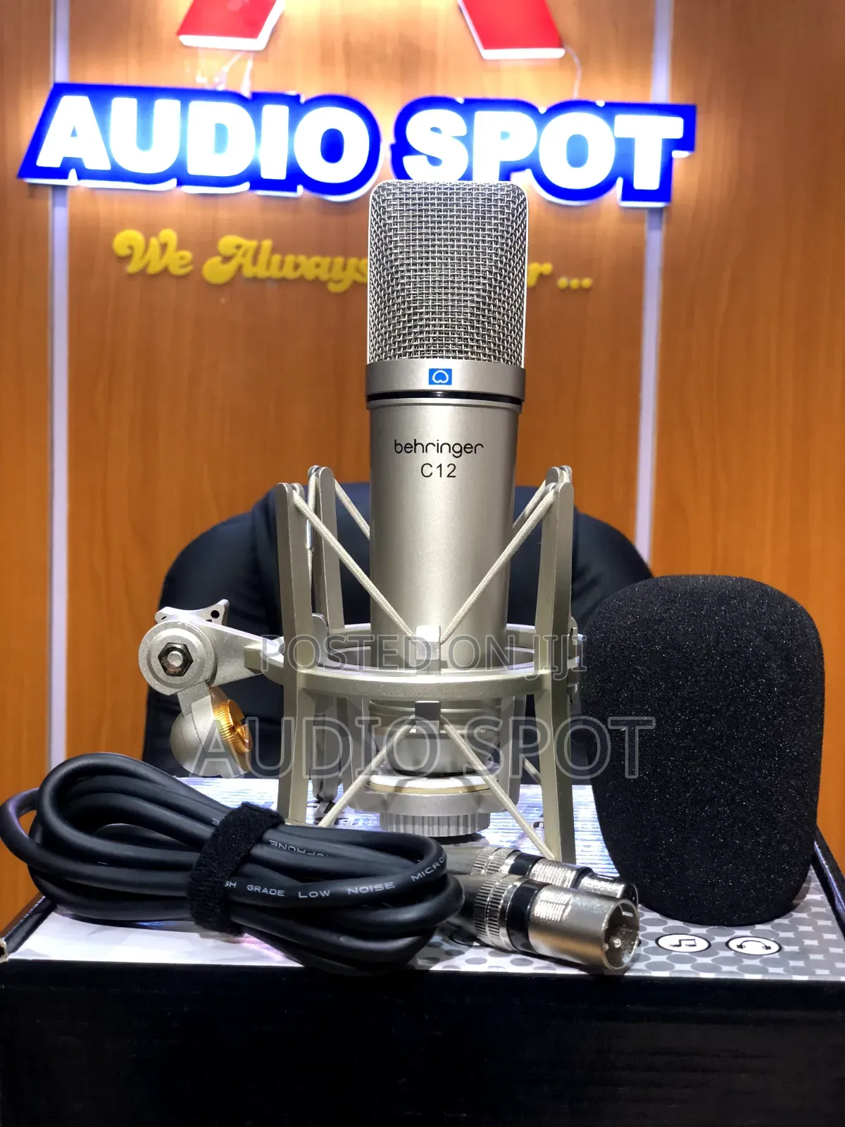 Behringer C-12 Professional Condenser Studio Microphone