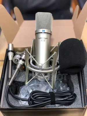 Behringer C-12 Professional Condenser Studio Microphone