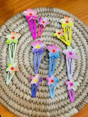 12pcs Multicoloured Hair Clips