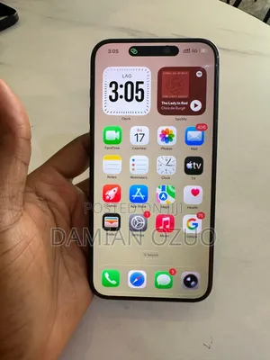 Apple iPhone 15 Pro Max 256 GB Gray
