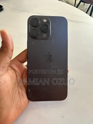 Apple iPhone 15 Pro Max 256 GB Gray