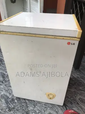 Lg Chest Freezer