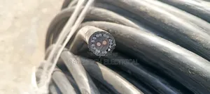 4mm 2core PVC/Swa/ PVC Armoured Cable