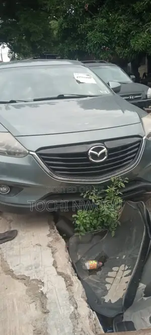 Mazda CX-9 Sport 2013 Brown