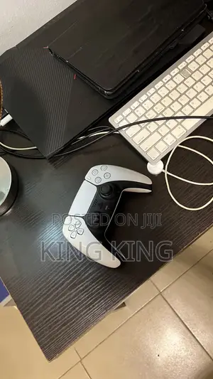 Ps5 Controller