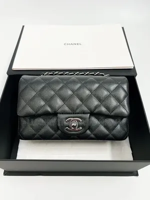 New Chanel 19 Small Goatskin