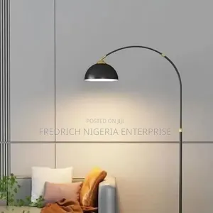 Modern Arc Floor Lamp With Black Gold Dome