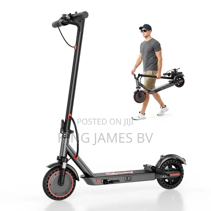 Powerful Electric Scooter