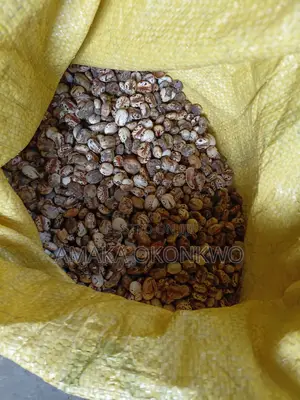 Castor Seed