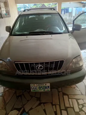 Lexus RX 2003 Gray