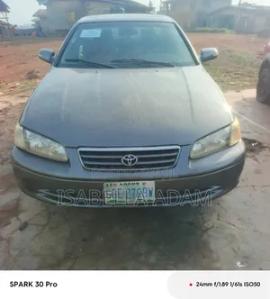 Toyota Camry 2001 Gray